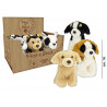 Peluche Nice & Good Cagnolino cm. 18 display 6 pz in 2 ass.ti