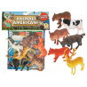Busta cm. 23 x 30 con 6 animali d'America