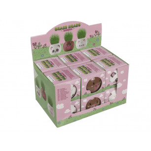Vasetto animali kawaii con erba che cresce display 12 pz 3 ass.ti