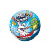 Palla in gomma Summer Rabbit and Turtle 120 gr cm. 22,5