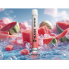 Ske Pro Starter Kit Watermelon Ice 2 ml
