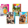 Biglietti Compleanno Humor con simpatici animali
