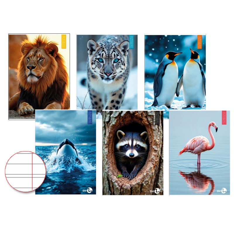 Quadernoni BM maxi Animal rigo B 80gr