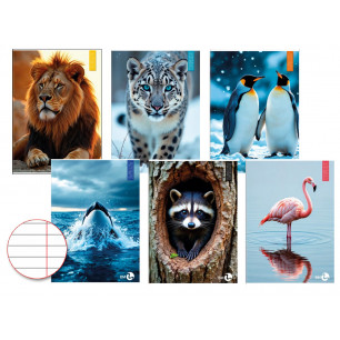 Quadernoni BM maxi Animal rigo C 80gr