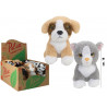 Peluche Pelux cani e gatti cm. 18 in espo 9 pezzi