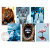 Quadernoni BM maxi Animal rigo 4mm 80gr
