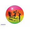 Palla beach Volley Party cm. 21,6 SGONFIO